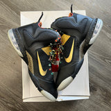 Nike LeBron Watch The Throne 9s Size 13