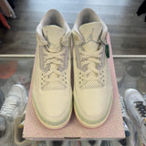 Jordan Spring Is in The Air 3s Size 11.5