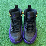 Jordan Field Purple 12s Size 5.5Y