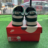 Nike Michigan State Low Dunks Size 10.5