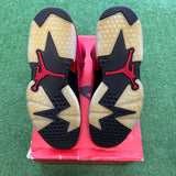 Jordan Toro 6s Size 9