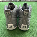 Jordan Stealth 12s Size 12
