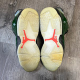 Jordan Champagne 6s Size 10.5