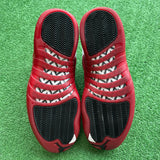 Jordan Cherry 12s Size 13