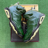 Jordan Champagne 6s Size 12