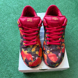 Nike Wizard Of Oz Poppy Field Low SB Dunks Size 12