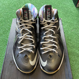 Nike LeBron Prism 10s Size 11