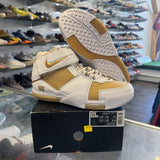 Nike Maccabi LeBron Zoom 2s Size 9.5