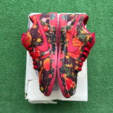 Nike Wizard Of Oz SB Low Dunks Size 10.5