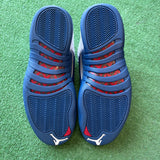 Jordan French Blue 12s Size 11