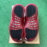 Jordan Cherry 12s Size 10