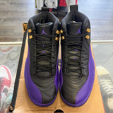 Jordan Field Purple 12s Size 10.5