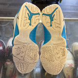 Jordan Powder Blue 9s Size 9.5
