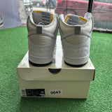 Nike AntiHero Sb High Dunks Size 11