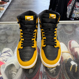 Jordan Pollen 1s Size 9