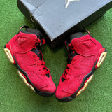 Jordan Toro 6s Size 6Y
