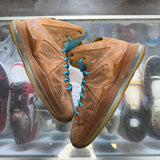 Nike LeBron Hazelnut 10s Size 10