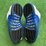 Jordan Blueberry 12s Size 11