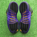 Jordan Field Purple 12s Size 11
