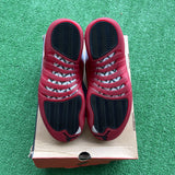 Jordan Cherry 12s Size 9.5