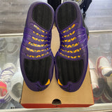 Jordan Field Purple 12s Size 10