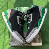 Jordan Pine Green 3s Size 10