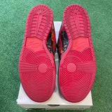 Nike The Wizard Of Oz Poppy Field SB Low Dunk Size 13