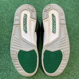 Jordan Pine Green 3s Size 10.5