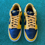 Nike Golden Rod Dunks Size 10