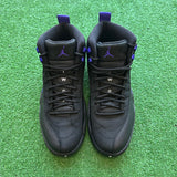 Jordan Dark Concord 12s Size 9