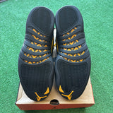 Jordan Black Taxi 12s Size 12