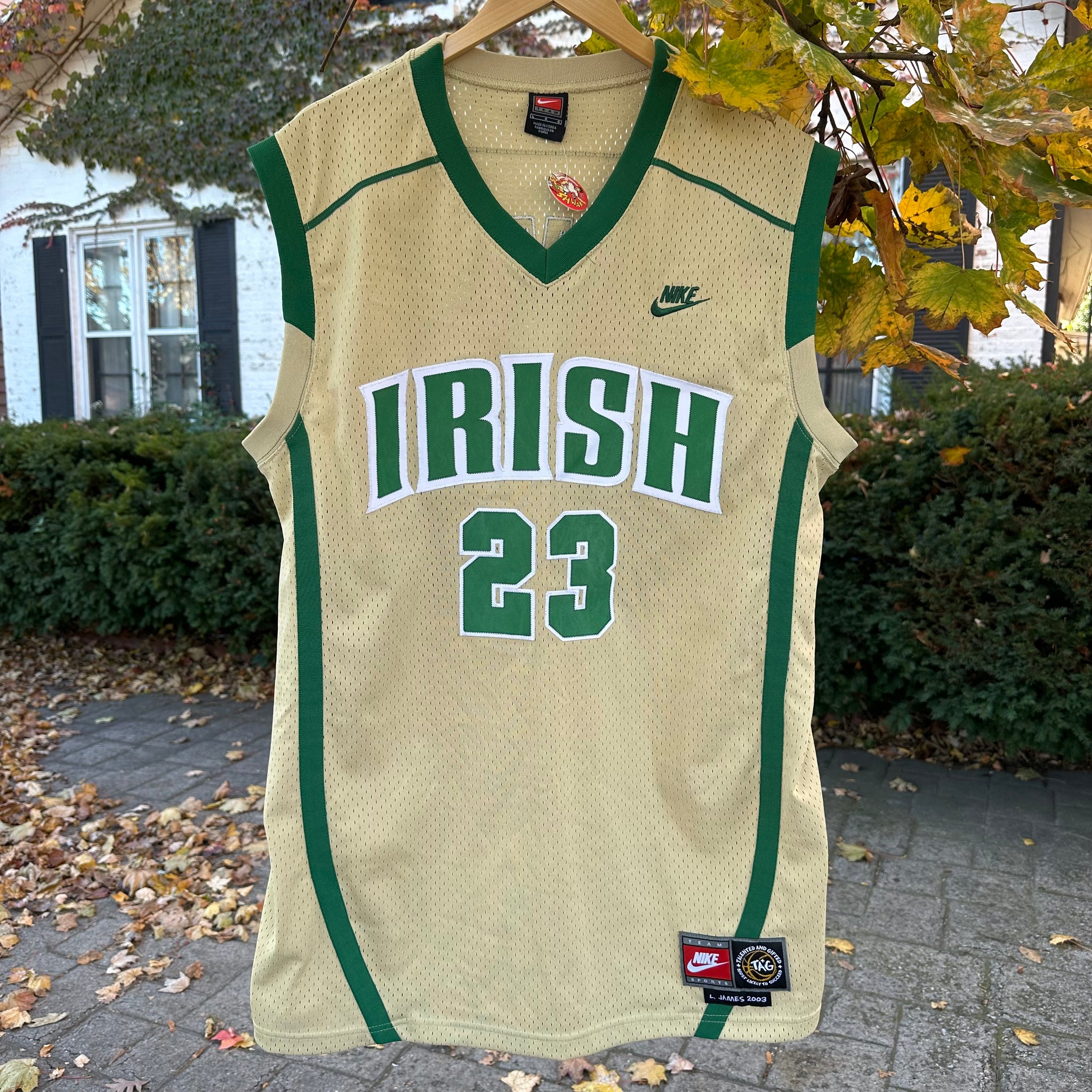 Vintage Mary LeBron James Jersey Size L – My Cuzin