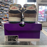 Nike Big Money Savings SB Low Dunks Size 11.5