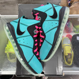 Nike LeBron South Beach 8s Size 10