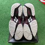 Jordan Alternate Bugs Bunny 8s Size 7