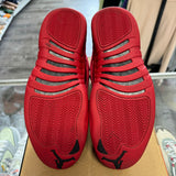 Jordan Red Suede 12s Size 10