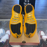Jordan University Gold 12s Size 10