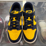 Nike Michigan Low Dunks Size 6Y