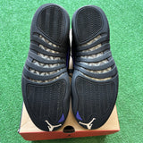 Jordan Dark Concord 12s Size 12