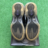 Nike EggPlant Foamposite Size 9