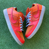 Nike Fire And Ice SB Low Dunk Size 11.5