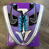 Nike Haley Wilson SB Low Dunk Size 9