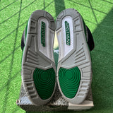 Jordan Pine Green 3s Size 10