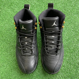 Jordan Master 12s Size 9.5