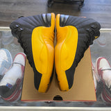 Jordan University Gold 12s Size 10