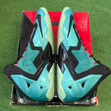 Nike South Beach LeBron 11s Size 13