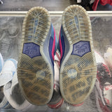 Nike Run The Jewels SB Low Dunks Size 8.5