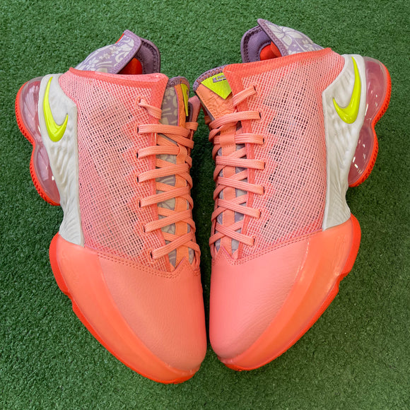 Nike Hawaii LeBron 19 Lows Size 12