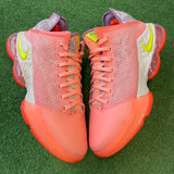 Nike Hawaii LeBron 19 Lows Size 12