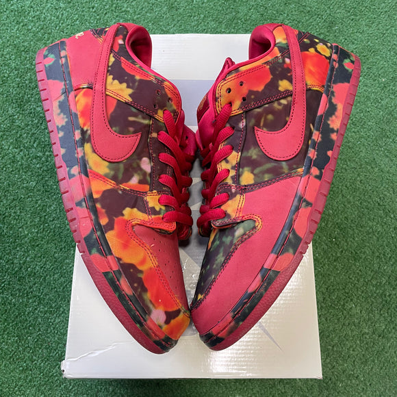 Nike The Wizard Of Oz Poppy Field SB Low Dunk Size 13